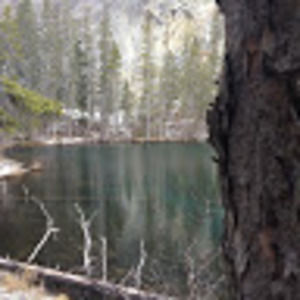 Meet your Posher, Laurel